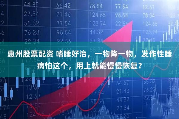 惠州股票配资 嗜睡好治，一物降一物，发作性睡病怕这个，用上就能慢慢恢复？