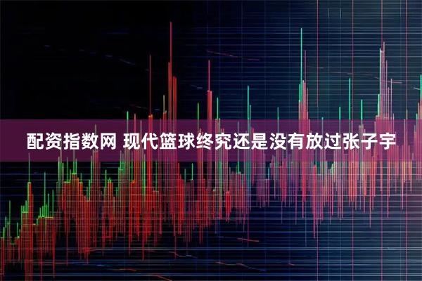 配资指数网 现代篮球终究还是没有放过张子宇